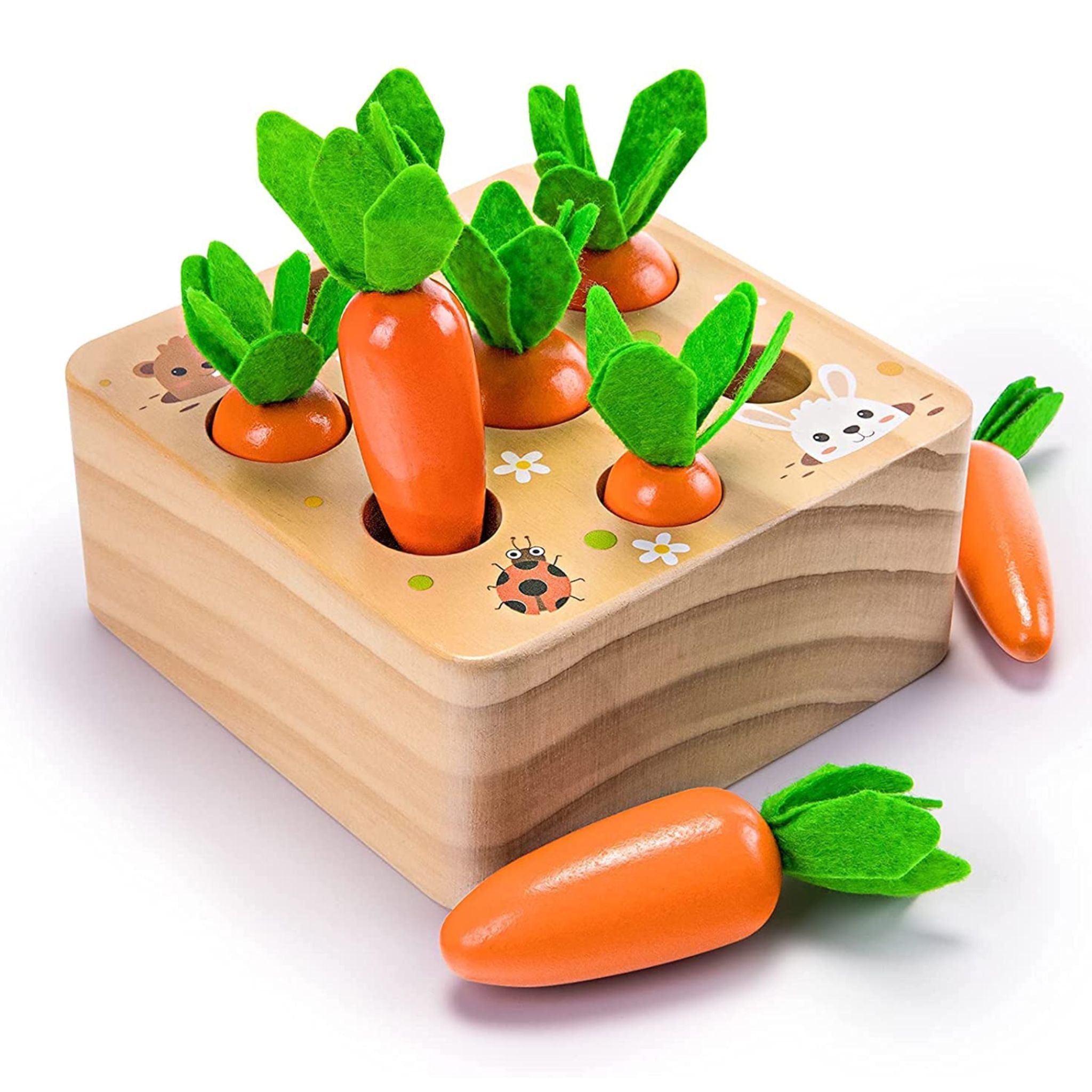 Montessori Carrot Set