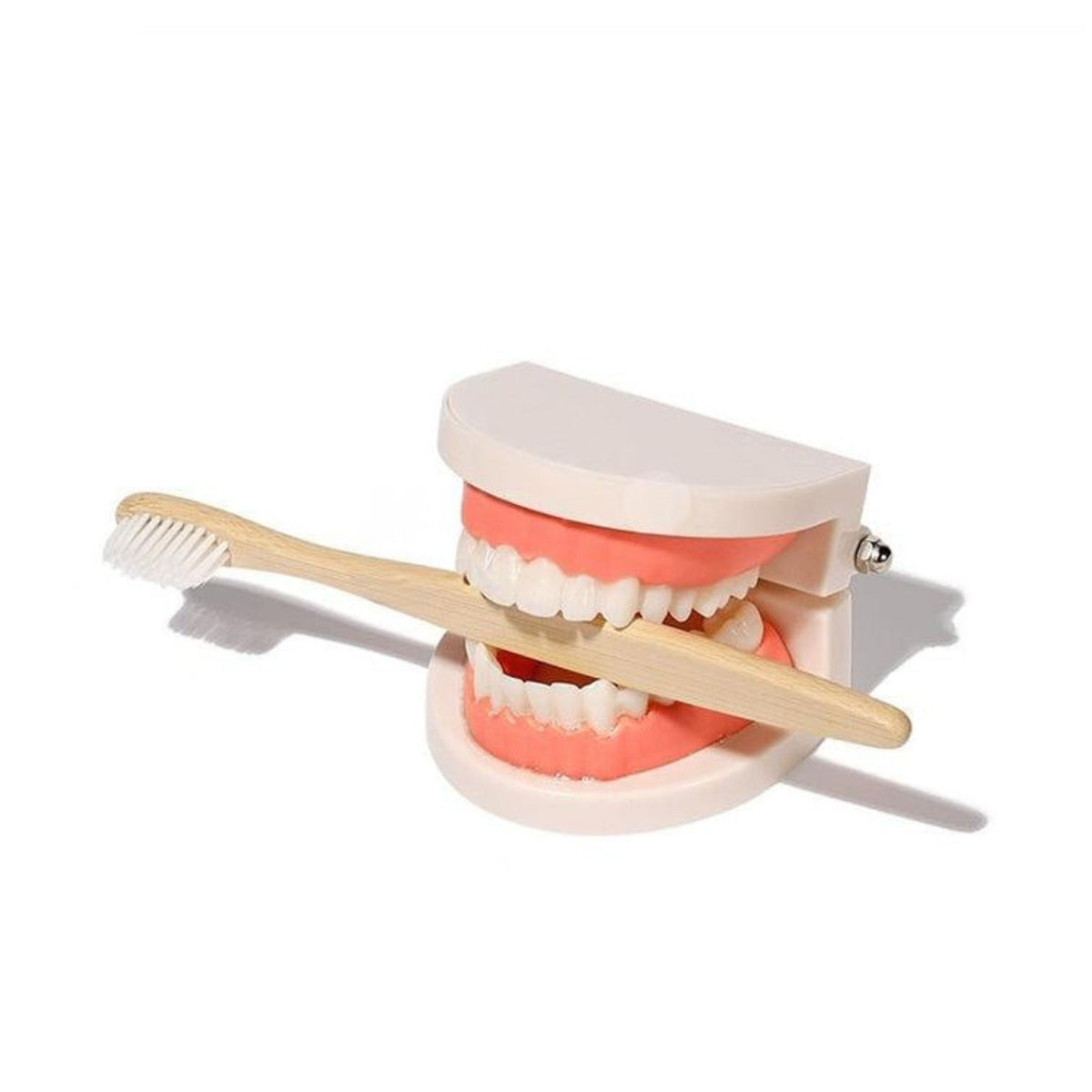 Montessori Brushing Teeth | Clever Toys Box