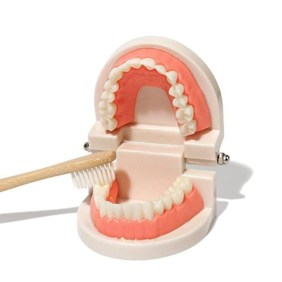 Montessori Brushing Teeth | Clever Toys Box