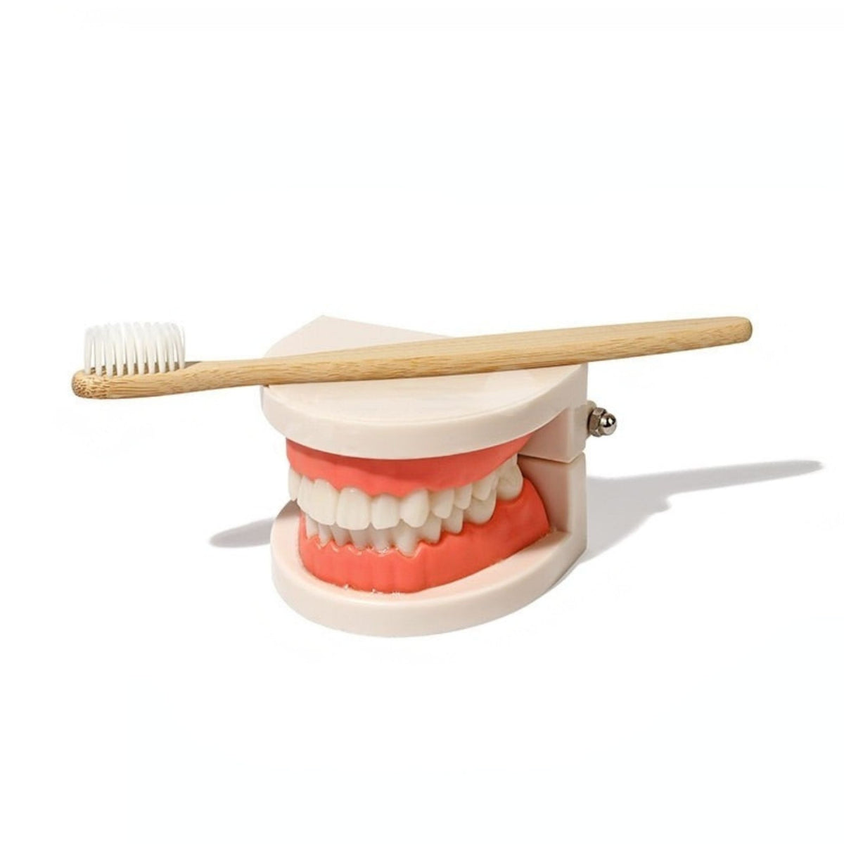 Montessori Brushing Teeth | Clever Toys Box