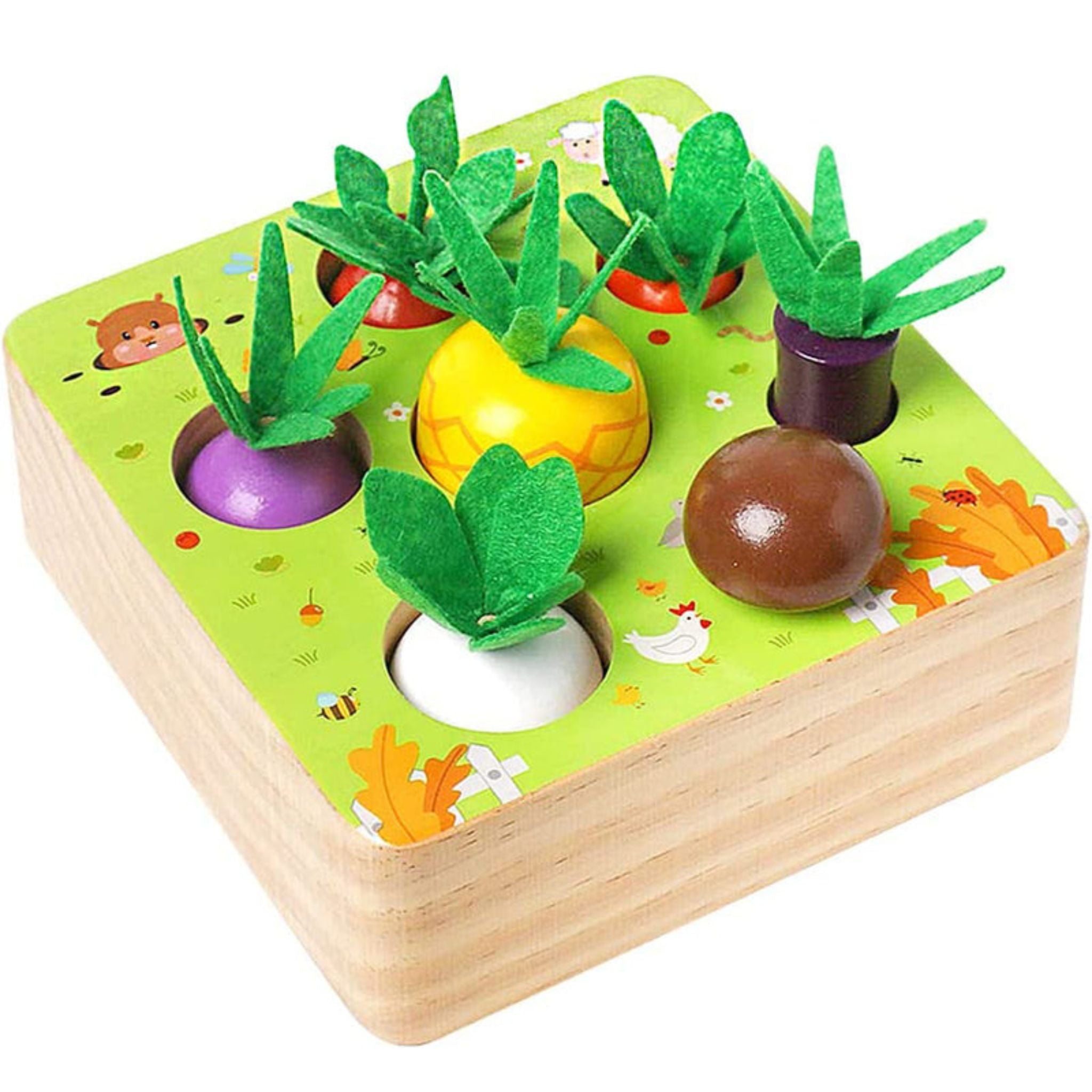 Montessori Vegetable Set